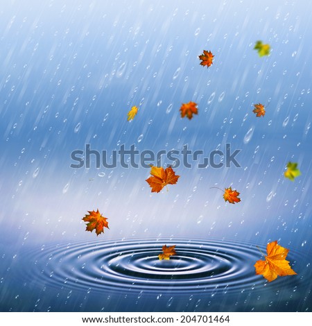 autumnal backrounds with fallen foliage and rain drops