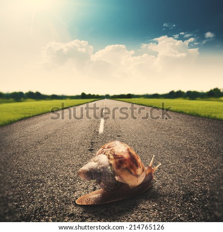 Speedy snail, abstract funny travel backgrounds