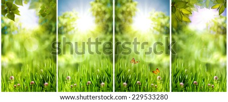 Set of assorted natural banners for your design