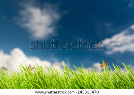 Abstract natural backgrounds with summer foliage and bright sunlight