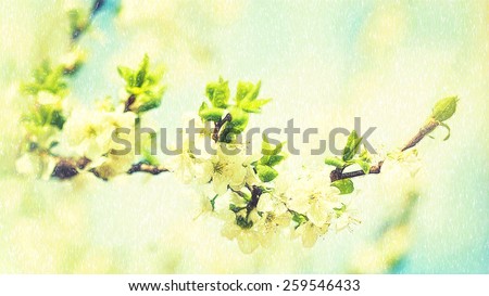 Beauty spring backgrounds with apple tree flowers, fine art simulation from real photo