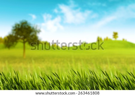 Beauty summer landscape with green grass and hills under shiny skies