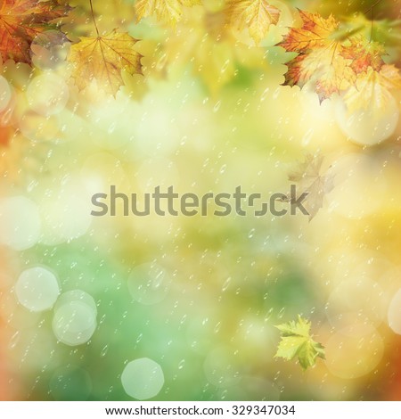 October rain in the forest, abstract environmental backgrounds