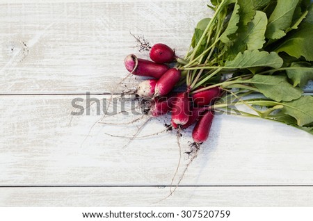 Macro photo of a bunch of farm grown radish. Organic natural food.