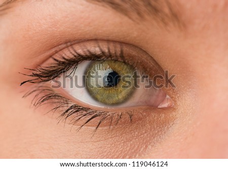 Close-up Of Human Eye