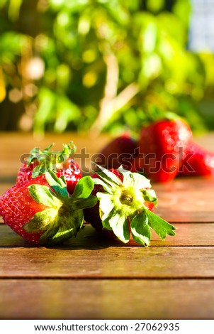 strawberries on sunny day