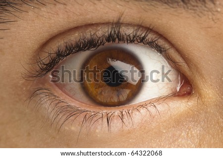 extreme closeup of brown eye of boy