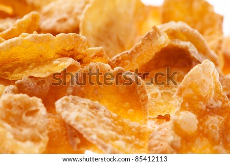 cereal corn flakes closeup on a white background