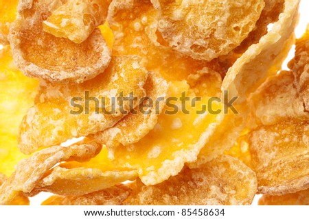 cereal corn flakes closeup on a white background