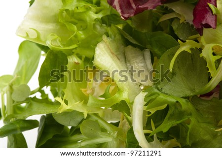 fresh lettuce on salad, extreme closeup photo
