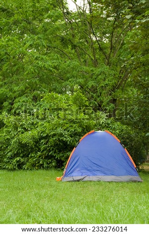blue tent on green grass under a tree.
