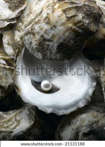 A shiny pearl in an oyster shell