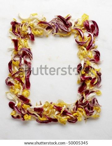 Dried tulip petals shot on marble background forming a frame, with space for copy, drawing or photo