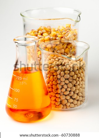 beaker of golden ethanol and flasks filled with corn and soybeans shot in lab on white background with soft shadow