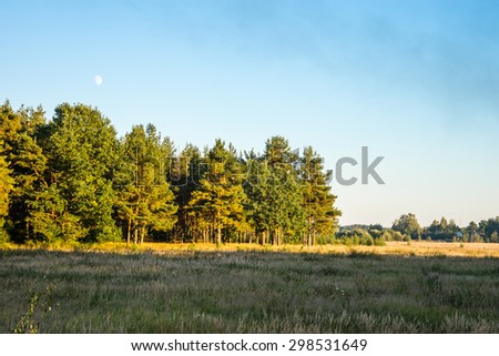 Autumn 2014. Evening. Russia. The suburbs of the Moscow City. The field and the mixed forest in the sunset light of the Sun.