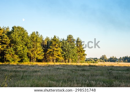 Autumn 2014. Evening. Russia. The suburbs of the Moscow City. The field and the mixed forest in the sunset light of the Sun.
