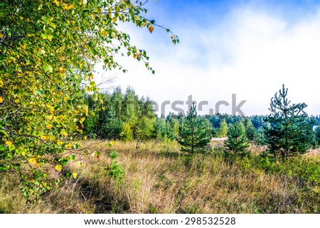 Autumn 2014. Morning. Russia. The suburbs of Moscow. Morning landscape. On the border of the field and the forest.