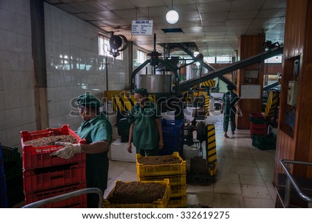 Sri Lanka. Kandy - August 16, 2015. Inside The Tea Plantation. Tea processing at the Factory.