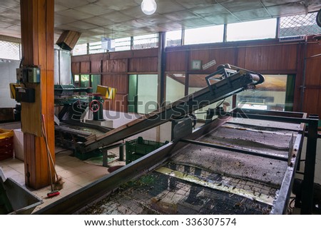 Sri Lanka. Kandy - August 16, 2015. Inside The Tea Plantation. Tea processing at the Factory.