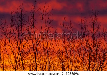 Sunset in the end of year 2014, sky of fire.