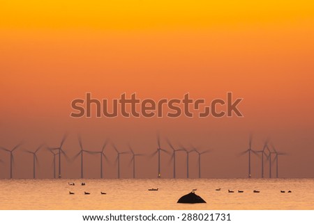 Sunset at Oresund over an offshore wind power station