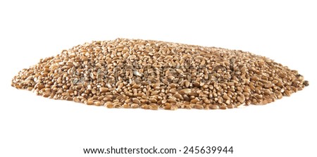 grain on a white background