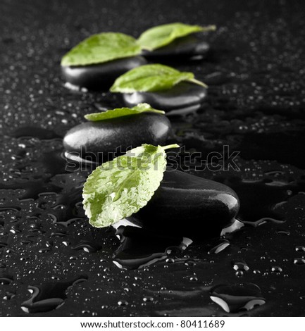 stone and leaves in drops of water on a black background