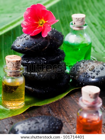 Hibiscus bloom and raindrops on basalt stones and massage oils at the spa