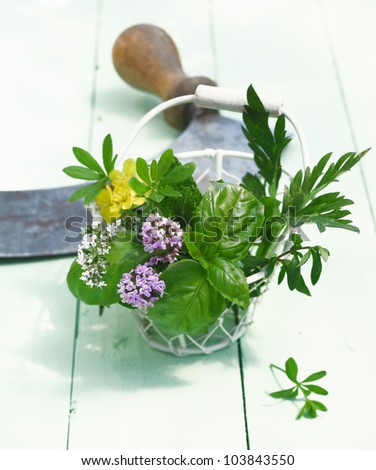 Bunch of Herbs in a wire Basket. In front of an old mincing knife on wooden background. Thyme, Woodruff , Basil and Mint outdoors for food ingredients concepts.