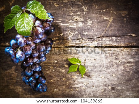 Blue Grapes on Rustic wooden board with copyspace and blank room