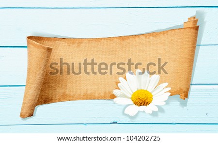 A Daisy Banner Memo on a light blue wooden background. Beautiful Garden Flower and a structured Memo Board for gardening concepts and celebration evenings