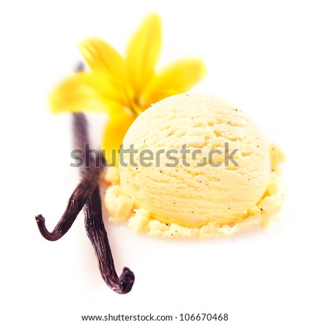 Vanilla pods and flower with a delicious scoop of rich creamy icecream served for a refreshing summer dessert