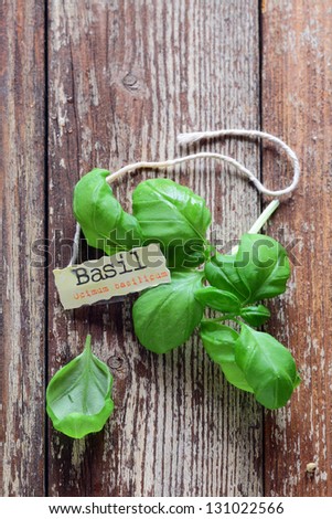 Fresh basil leaves lying on grungy wooden boards with a decorative identification label or name tag
