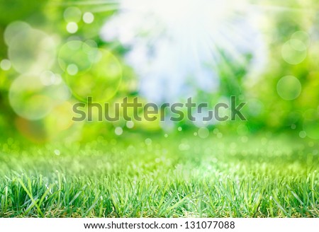 Soft Defocused Spring Background With A Sunburst And Bokeh Over Lush Green Grass