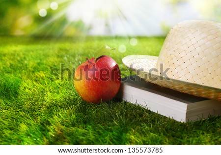 Sunhat, book and fresh ripe red apple lying on a lush green garden lawn under the hot rays of the summer sun with bokeh and lens flare