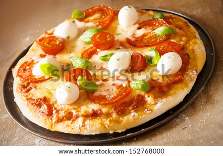 Fresh baked golden crusty Italian pizza with mozzarella cheese, tomato and basil on melted cheese and tomato paste