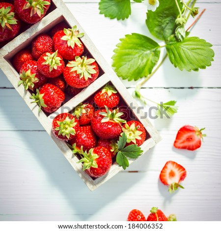 Fresh ripe red strawberries in boxes displayed on white painted wooden boards at a farmers market wih fresh green leaves and a halved berry showing the succulent pulp, overhead view
