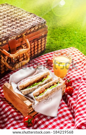 Summer picnic sandwiches, fresh cherry tomatoes and a glass of refreshing orange juice on a red and white checked cloth with a hamper on green grass