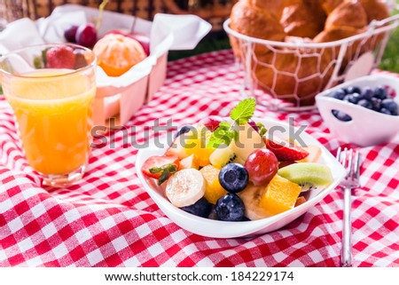 Bowl of fresh tropical fruit salad at a picnic served with a glass of orange juice, fresh fruit and croissants on a red and white checked tablecloth in summer sunshine
