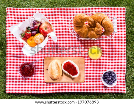 Healthy summer picnic laid out on a fresh red and white checked country cloth on green grass with croissants, jam, fresh fruit, butter and blueberries, overhead view