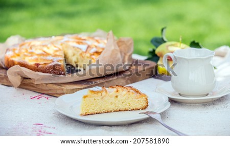 Slice of tasty freshly baked apple tart for a summer coffee or tea break in the garden with a cup and saucer and apple pie on a rustic white table