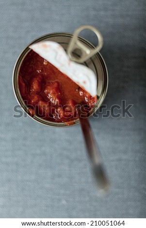Macro Easy to Open Meat Canned Good Isolated Gray Background.