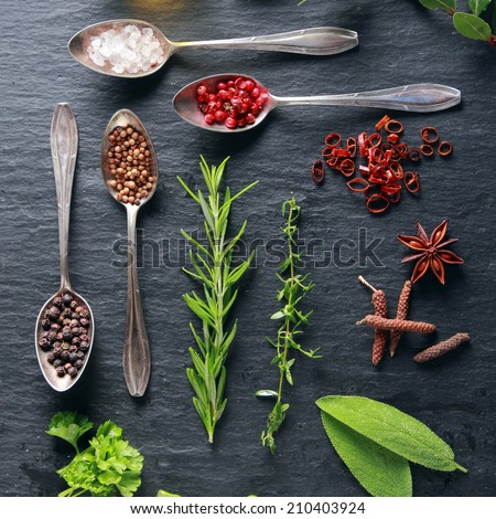 Display of fresh herbs and spices with assorted peppercorns in spoons, star anise and cayenne pepper, fresh parsley, rosemary oregano and bay leaves, overhead view
