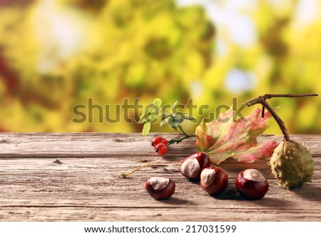 Chestnuts and rose hips, both rich natural sources of vitamin c , standing on an old wooden table in an autumn garden with colorful golden yellow foliage, with copyspace