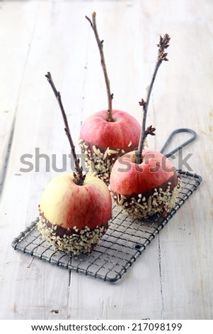 Three fresh red apples with twigs and chocolate coating decorated with sprinkles standing cooling on a wire rack on a rustic white wood kitchen table for Halloween treats for trick-or-treaters