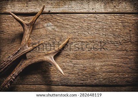 High Angle View of Deer Antlers Against Rustic Wooden Background with Copy Space