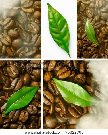 Montage of closeup images of freshly roasted coffee beans with a green leaf detail