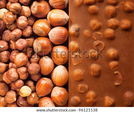 Hazelnut Chocolate with different sorts of Hazelnut