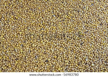mustard seeds filling the entire screen