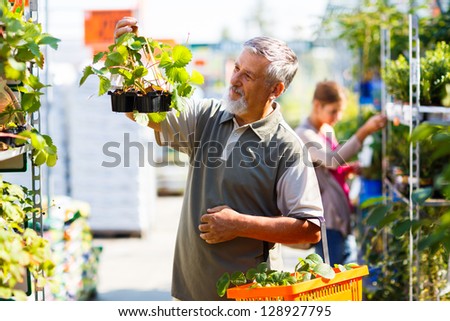 Senior man buying strawberry plants in a gardening centre